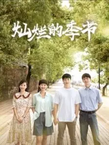 灿烂的季节