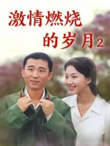 激情燃烧的岁月2