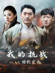 我的抗战之猎豹突击