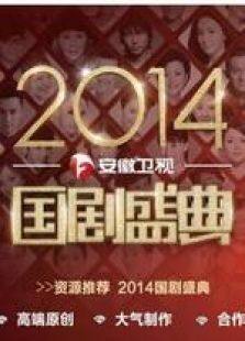 安徽卫视2014国剧盛典