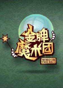 金牌魔术团