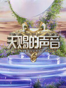 天赐的声音 第6季