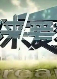 都来爱梦