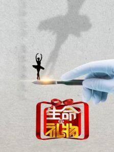 生命缘·生命的礼物 第3季