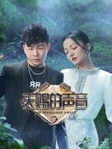 天赐的声音 第2季