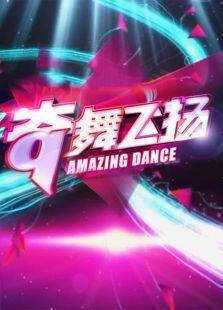 奇舞飞扬 2013