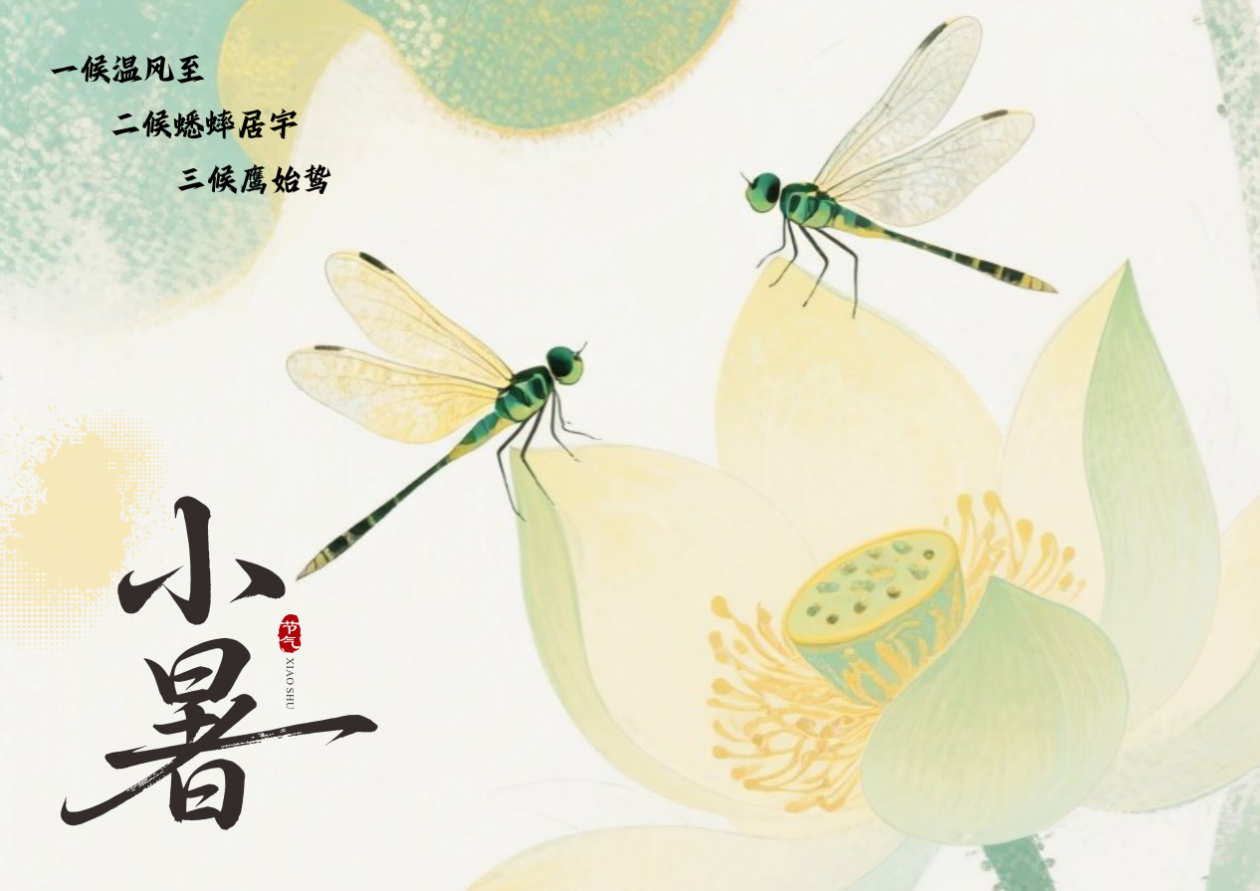 农耕岁时记｜小暑至，盛夏始