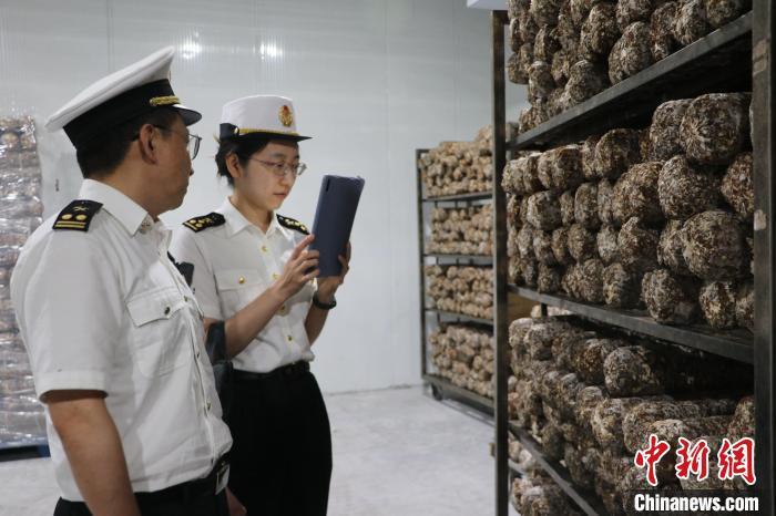 陕西特色农产品频“出海” 秦岭“小菌棒”拓海外市场