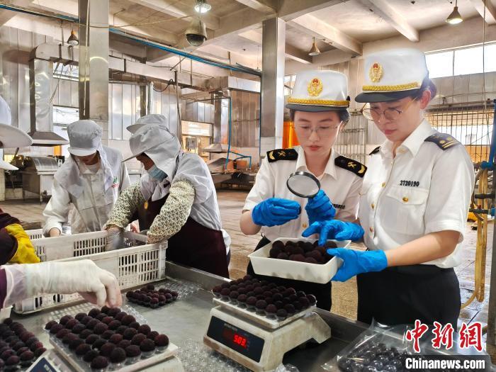 “福建杨梅第一镇”浮宫开启2025年杨梅出口季