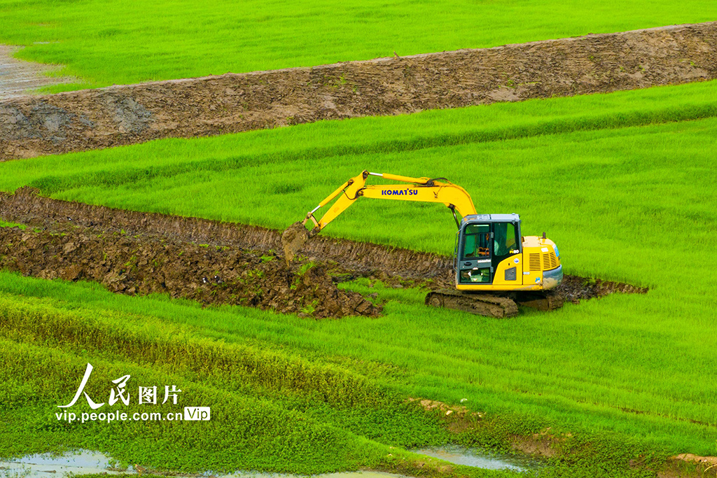 安徽芜湖:兴修水利助力粮田提质增效