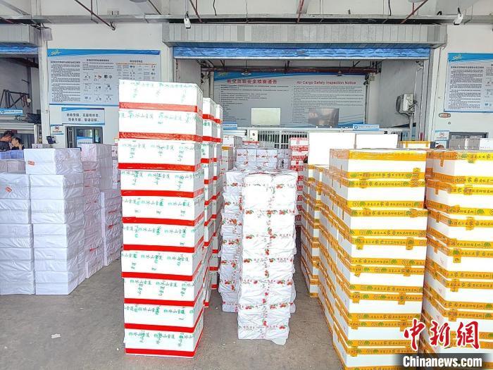 “荔”刻出发 海南搭建高效“空中快线”