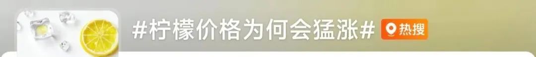 柠檬全面涨价了？！现在囤货卖给奶茶店还来得及吗？