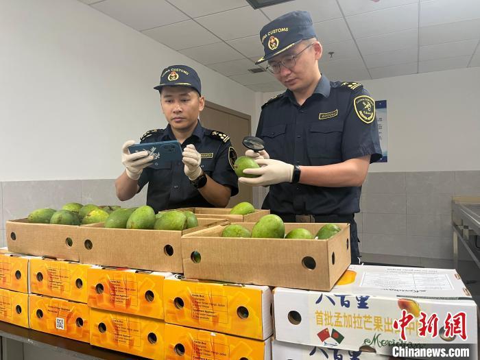 孟加拉国芒果首次进入中国市场