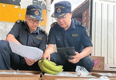 这个夏天，进口水果更亲民了