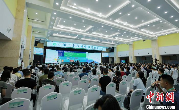 小土豆撬动大产业 第二十六届中国马铃薯大会启幕