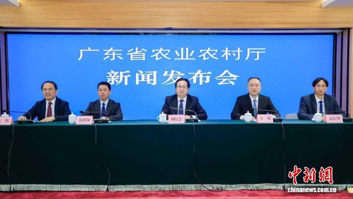 广东发布中国首个“黄羽血缘”优质小白鸡新品种