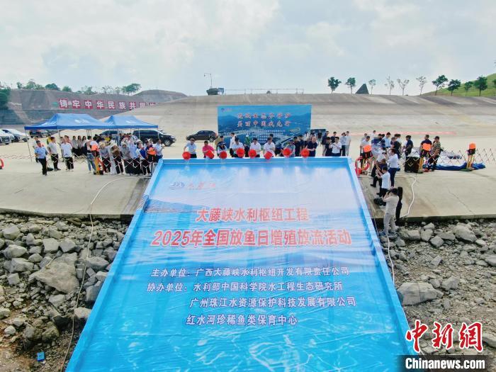 广西红水河放流10万尾珍稀鱼苗 创单次规模新高