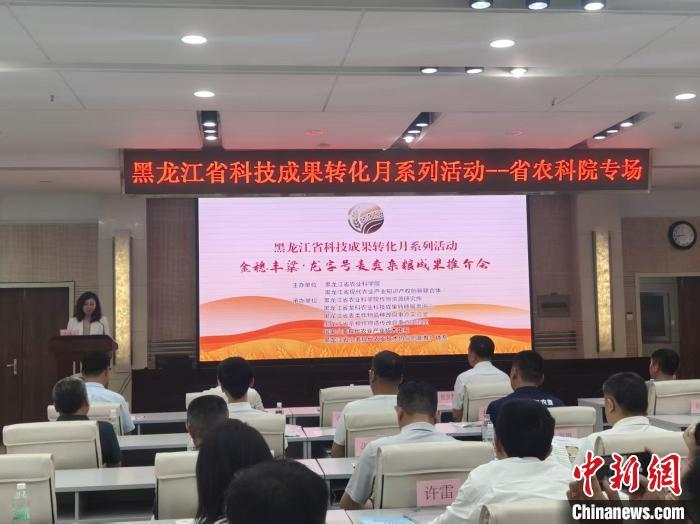 专家代表齐聚冰城共谋小麦振兴与杂粮高质量发展