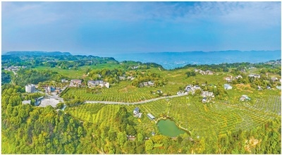 山峦叠翠 生态富民（寻找最美乡村·集体村）