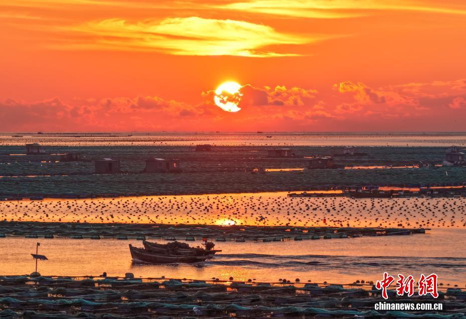 航拍山东荣成“海上牧场”秋耕美景