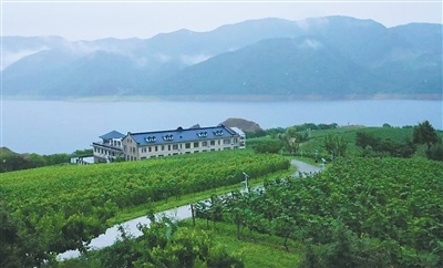 在“北国山城”品“东方波尔多”（边城见闻）