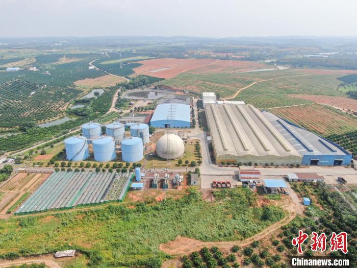 （活力中国调研行）“变废为宝”：江西猪场粪污的“绿色新生”