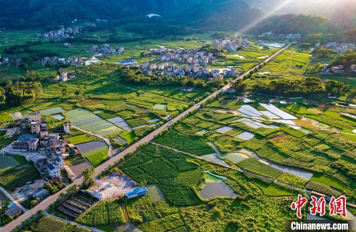 广西蒙山聚焦人居环境和产业融合 培育乡村“内在美”