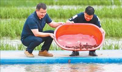 专业助力产业
