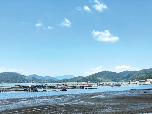 浙江大黄鱼产业环保增收两不误