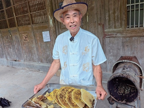 浙江仙居县：构建“梅茶鸡蜂”复合种养系统