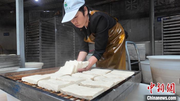 从小作坊到千万产值：一块豆腐解锁昆明呈贡乡村振兴密码