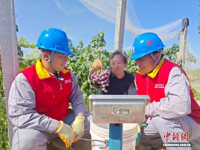 （乡村行·看振兴）山西临汾：“葡”写致富新路径 电力护航果飘香