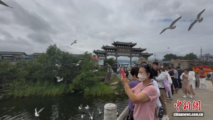 （活力中国调研行）海鸥、木耳、人参，吉林县域经济振兴各展妙招