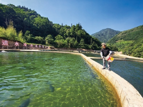 大山里“游”出冷水鱼产业链