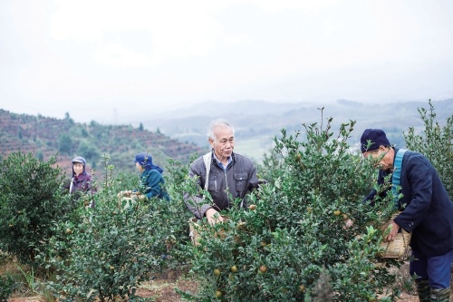 点“粕”成金：看油茶枯如何蜕变成日化用品？