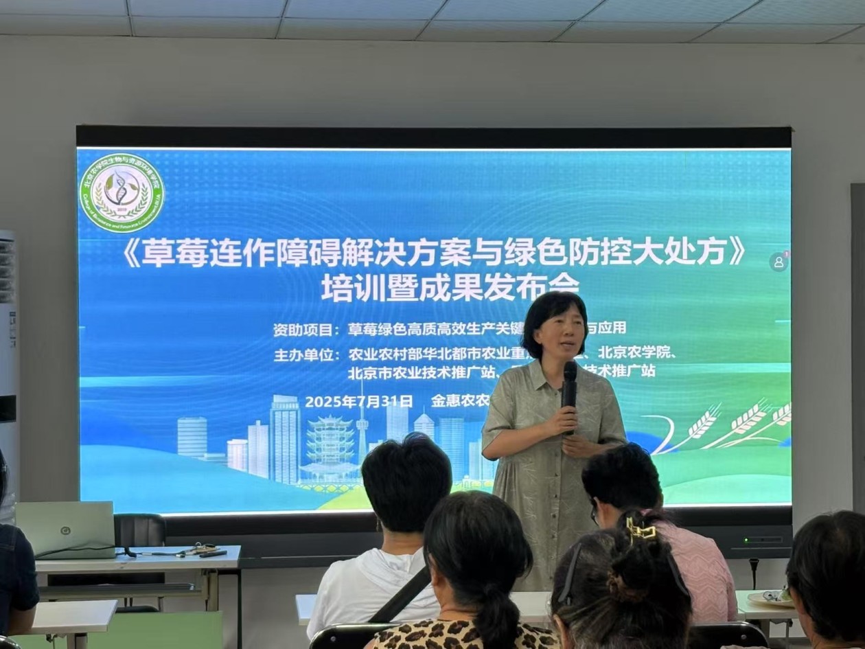 草莓绿色防控技术直送田间 产学研融合助力产业升级
