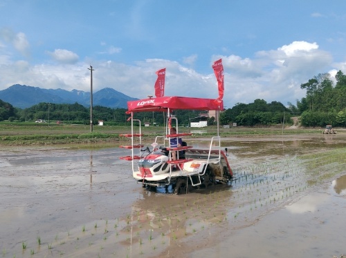 补齐丘陵山区水稻机械化短板