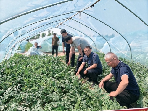 科技赋能 甜蜜升级