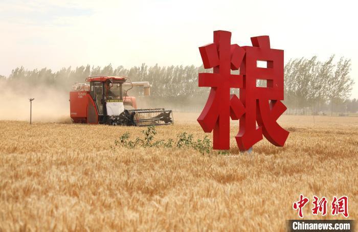 河南麦收基本结束 AI等科技手段显身手