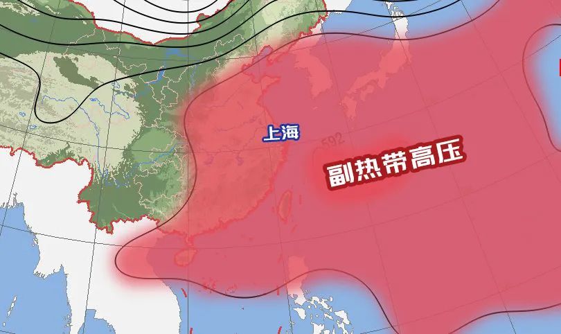 上海热到全国榜一！这波高温已连续17天，还要破纪录！危重患者增多，注意“四防”