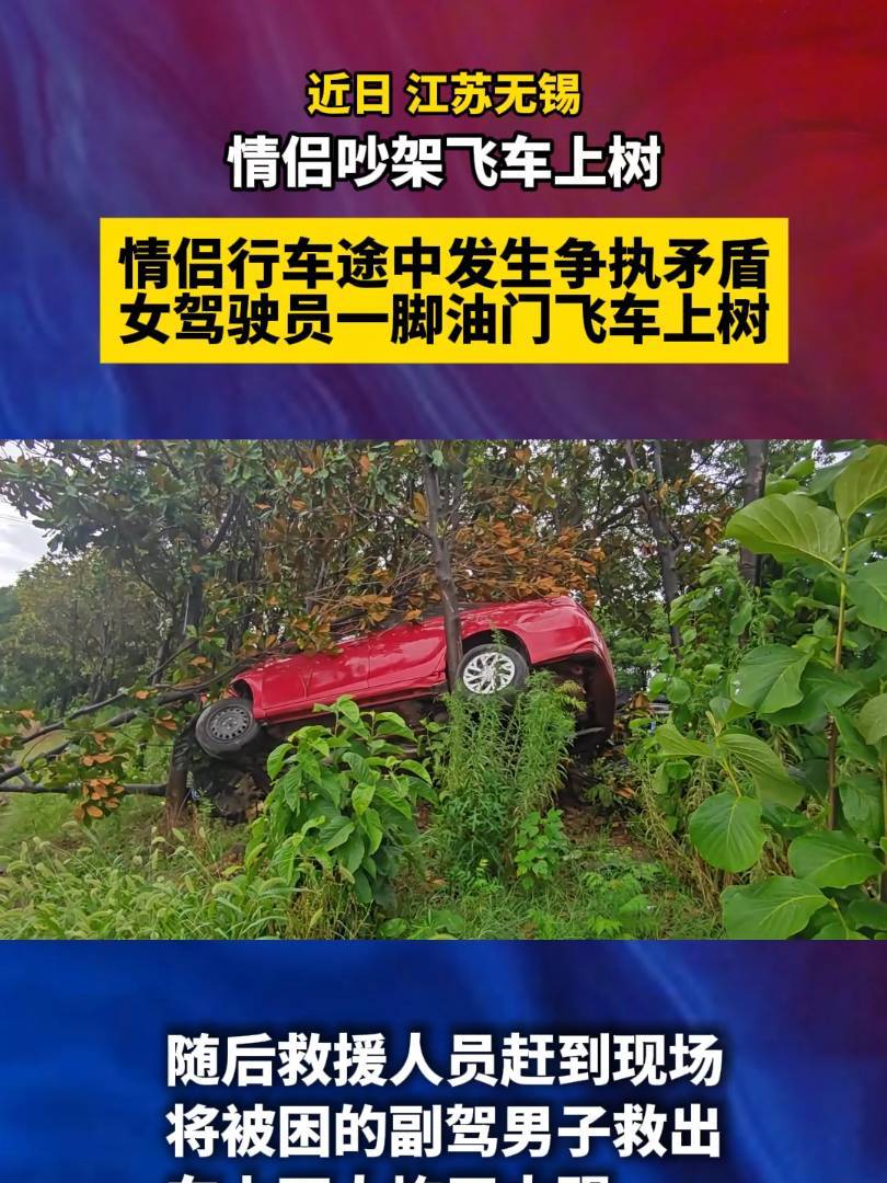 不可取！情侣买菜半路大吵一架，女子将车开上了树