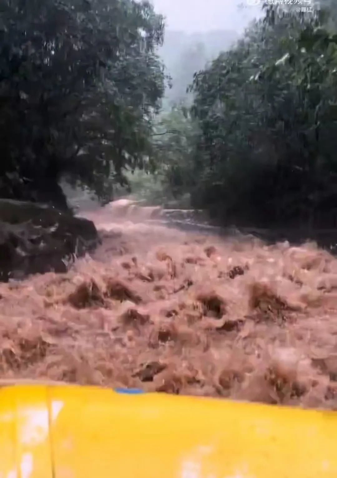 突降暴雨，游客遭遇“泥石流式”漂流！景区回应：10年来首遇