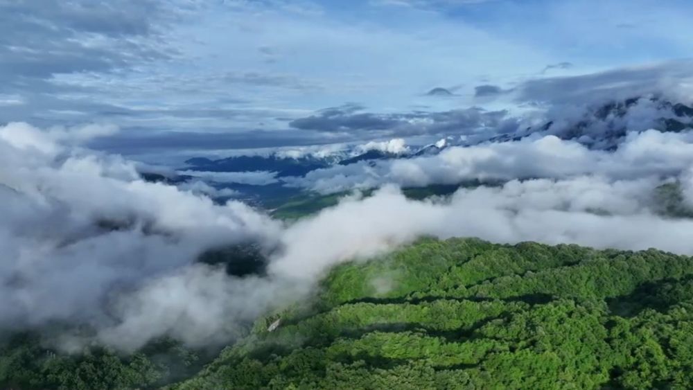 新华视点｜暑期经济多元业态观察：文旅融合激活消费新引擎