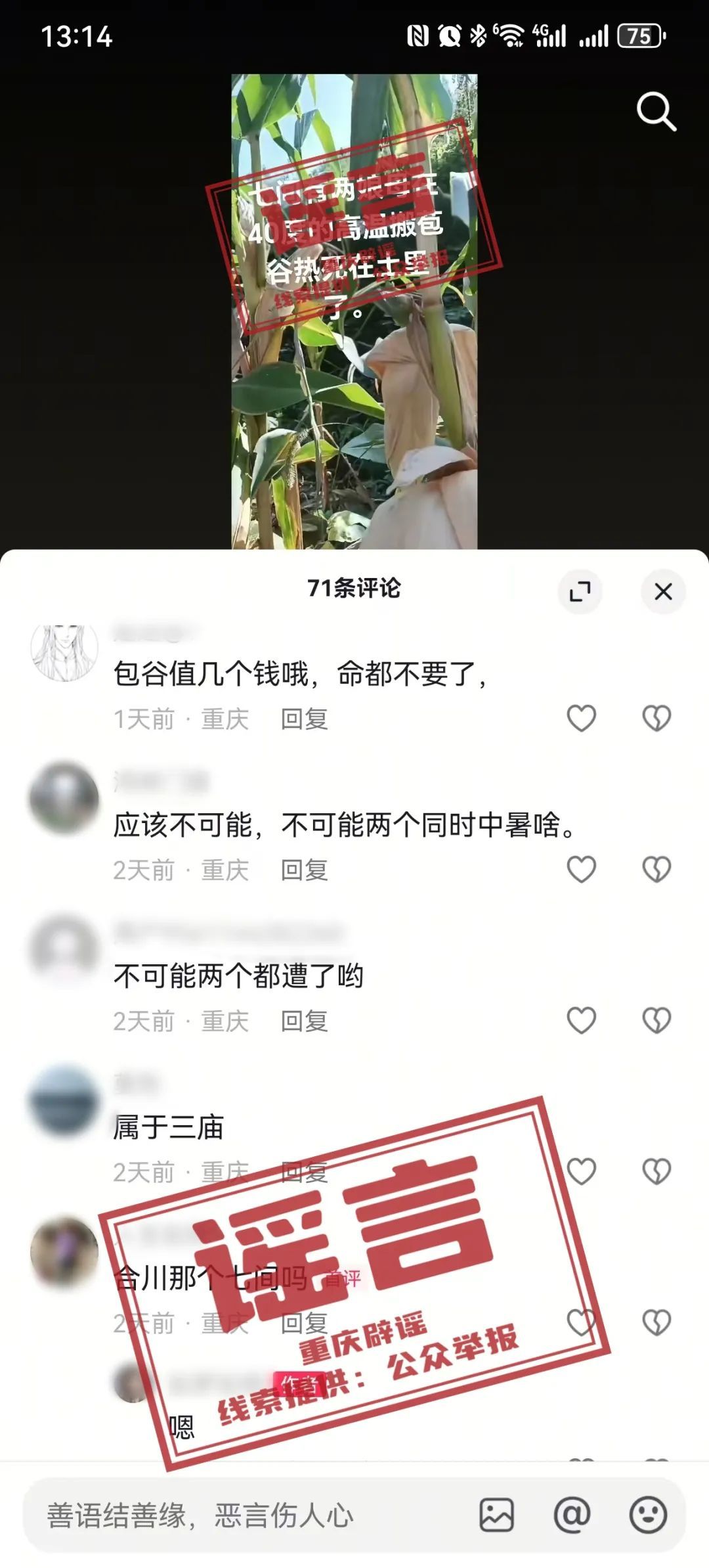编造“合川两娘母高温搬苞谷热死”谣言的刘某被公安机关依法行政拘留