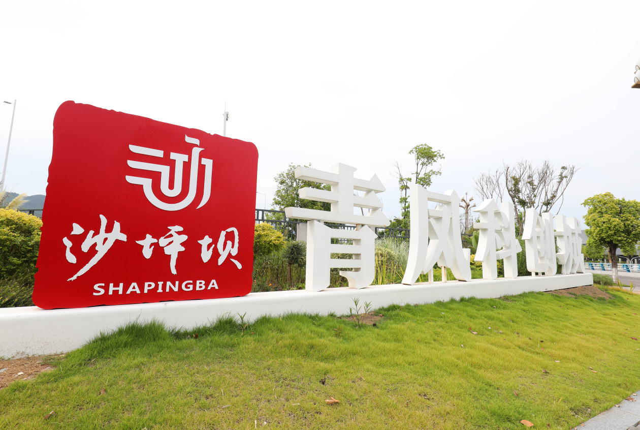 活力中国调研行丨重庆沙坪坝：一辆“绿”车，带动一条“绿”链