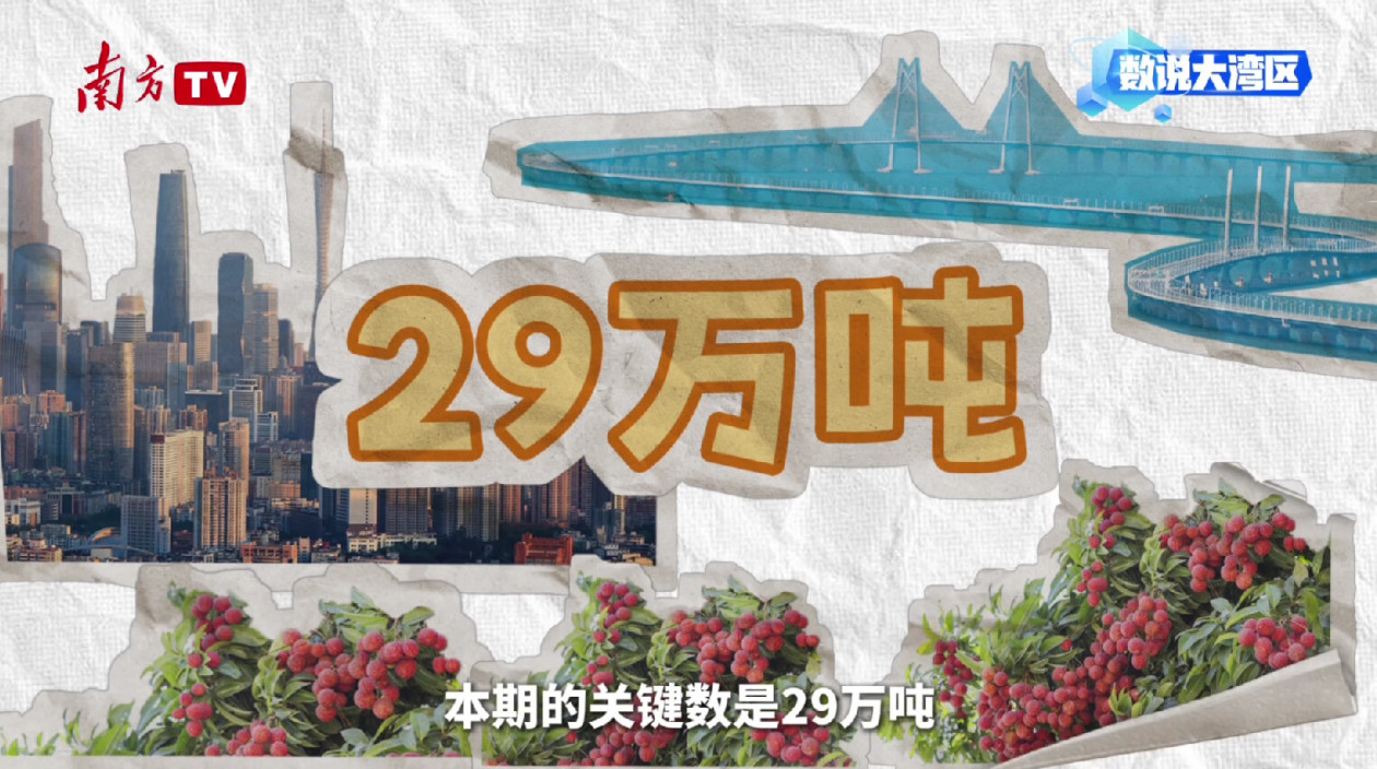 大湾区年产29万吨背后的给“荔”科技｜数说大湾区