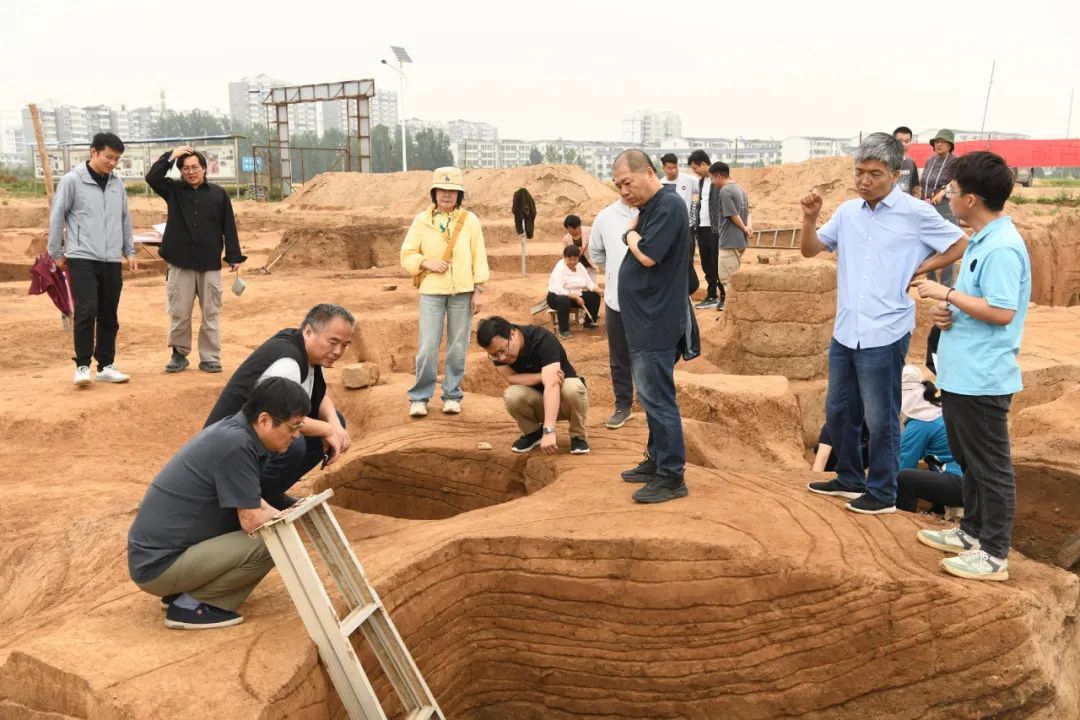 登封王城岗遗址考古发掘最新发现
