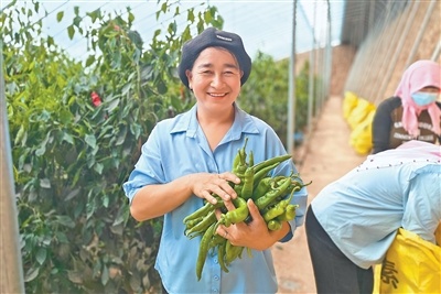宁夏石嘴山市惠农区海燕村脱贫户收入连年上涨——细算一个脱贫户的家庭收支账（不掉队 赶上来）
