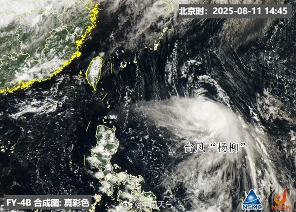 台风“杨柳”即将登陆，广西或迎来强对流天气！