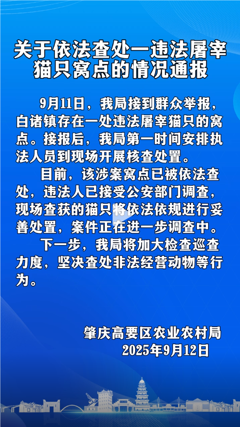 肇庆高要依法查处一违法屠宰猫只窝点
